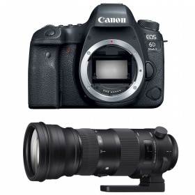 Canon EOS 6D Mark II + Sigma 150-600mm f/5.0-6.3 DG OS HSM Sports-1