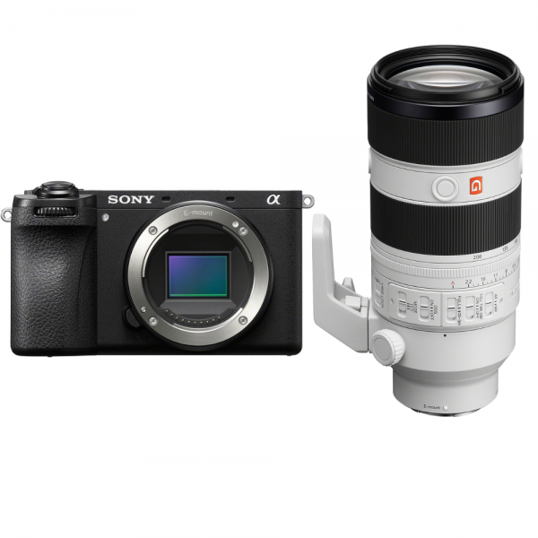 Sony A6600, toma de contacto con fotos de muestra