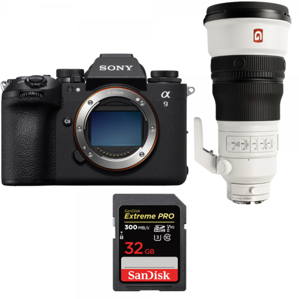 Sony A9 III + FE 300mm f/2.8 GM OSS + 1 SanDisk 32GB Extreme PRO UHS-II SDXC 300 MB/s-1