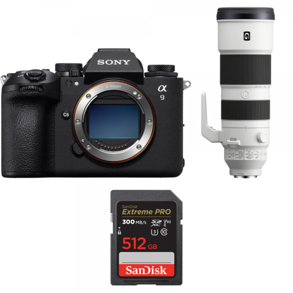 Sony A9 III + FE 200-600mm f/5.6-6.3 G OSS + 1 SanDisk 512GB Extreme PRO UHS-II SDXC 300 MB/s|MCZ DIRECT