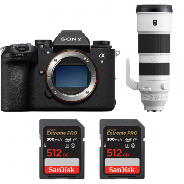 Sony A9 III + FE 200-600mm f/5.6-6.3 G OSS + 2 SanDisk 512GB Extreme PRO UHS-II SDXC 300 MB/s|MCZ DIRECT