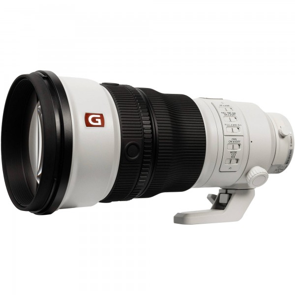 Sony FE 300mm f/2.8 GM OSS-10