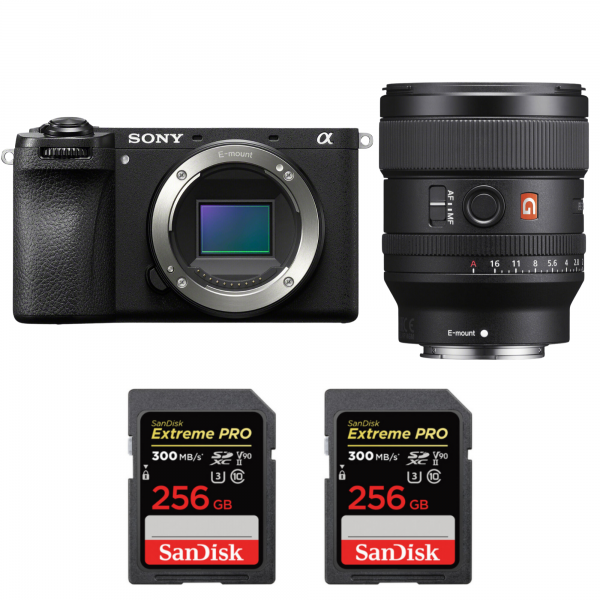 Sony A6700 + FE 24mm f/1.4 GM + 2 SanDisk 256GB Extreme PRO UHS-II SDXC 300 MB/s-1