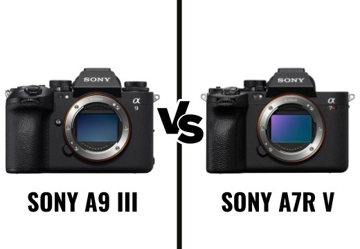 Sony A9 III vs Sony A7R V: Las diferencias